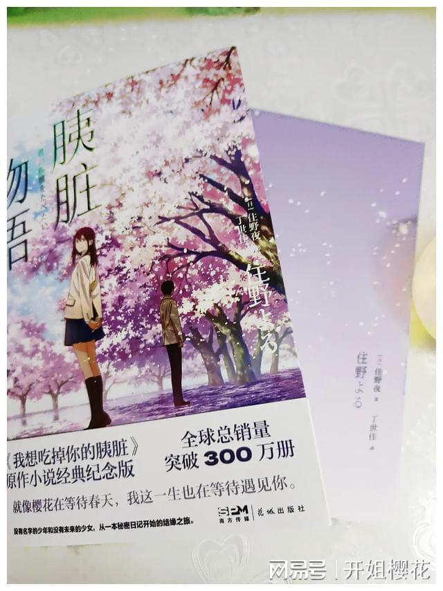 足球啦啦队员