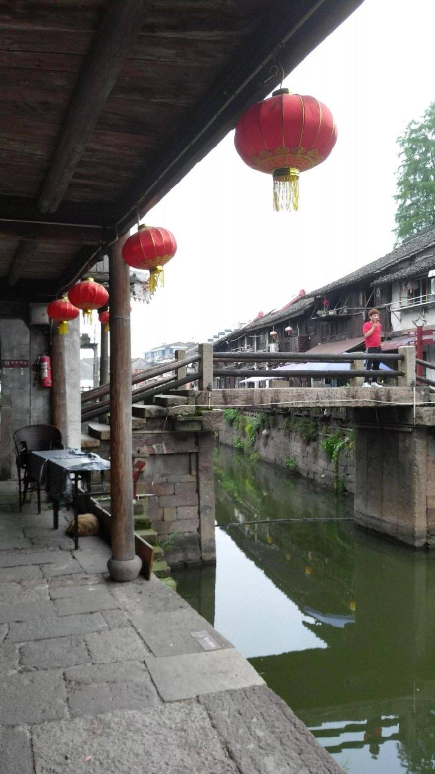 放飞笼中鸟