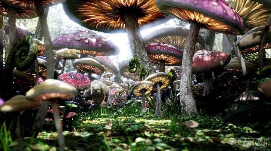 精灵嘉年华